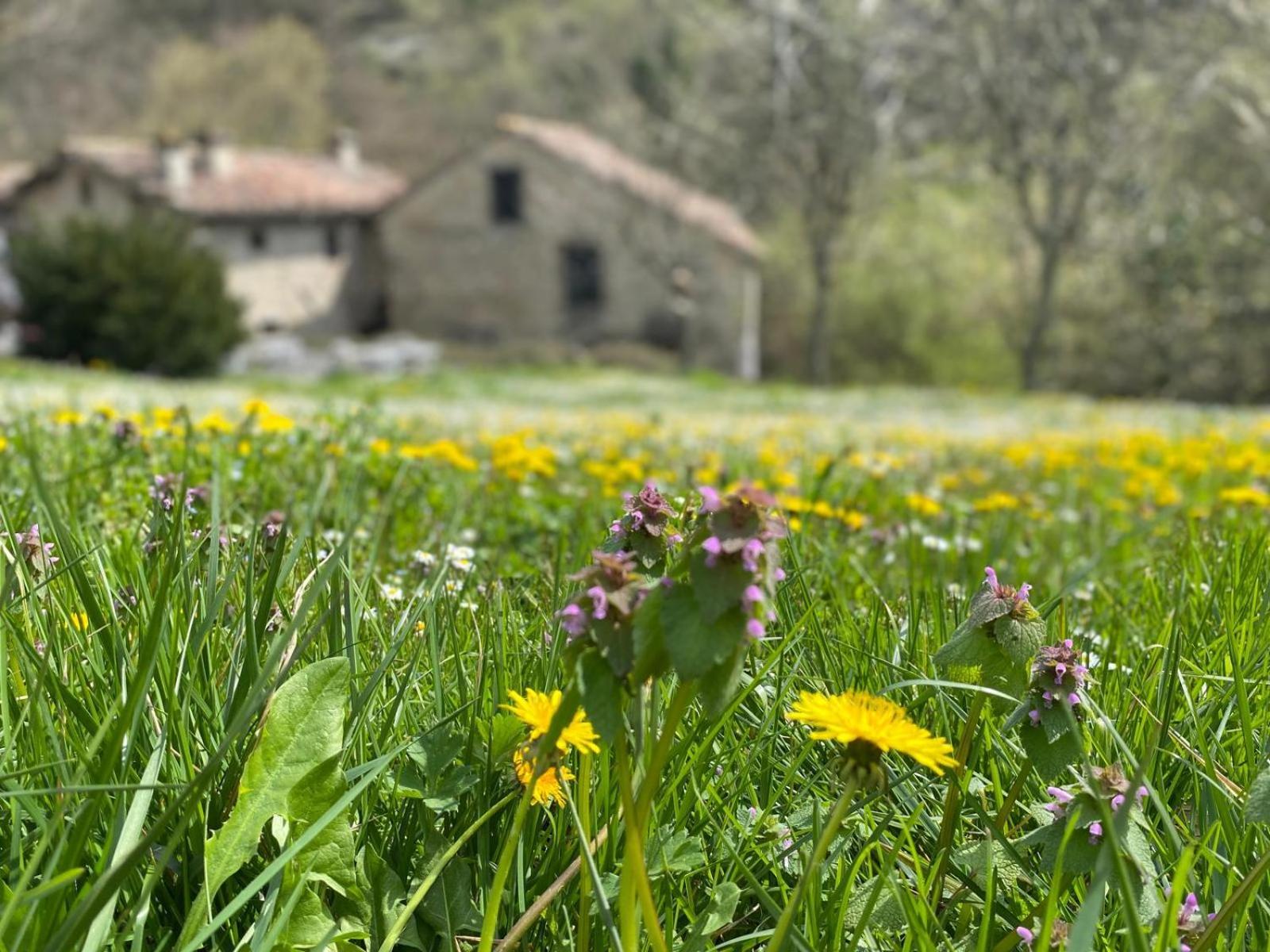 Borgo Corniola B&B Naturista Marradi Exterior foto