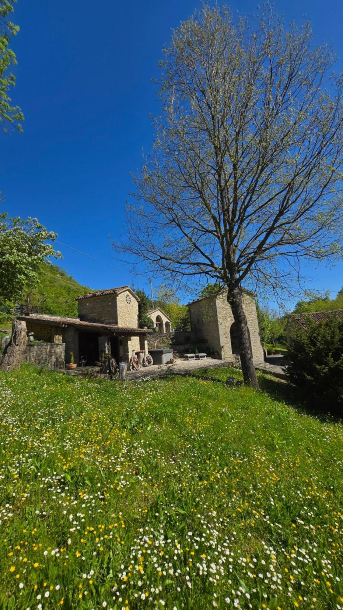 Borgo Corniola B&B Naturista Marradi Exterior foto